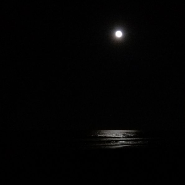 Moon, New Smyrna Beach, Florida