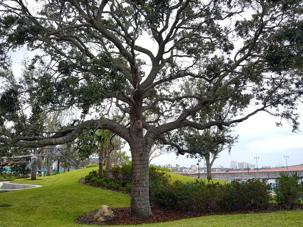 Daytona Beach Riverfront Esplanade