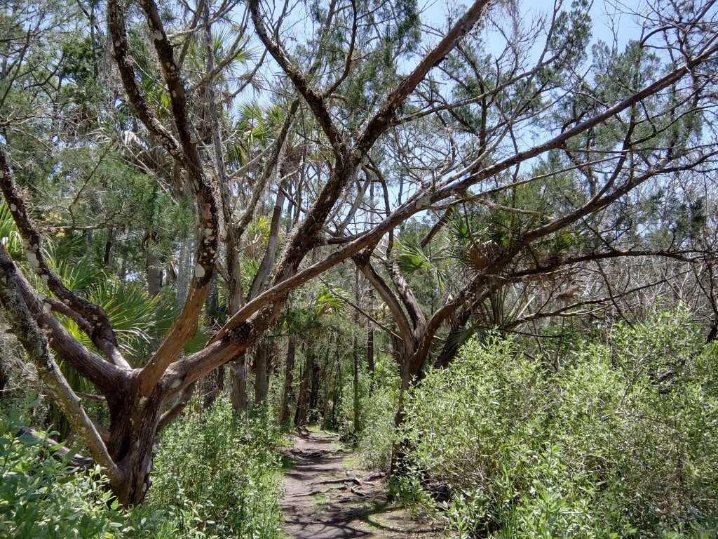50 Hikes: #45 Doris Leeper Spruce Creek Preserve