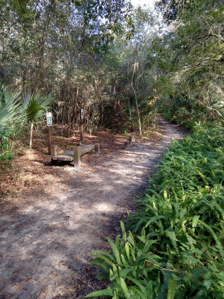 50 Hikes: #50 Turkey Creek Sanctuary